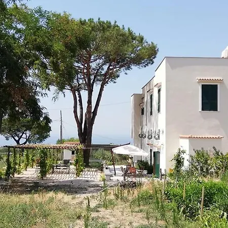 Villa Mazza al Vesuvio-3